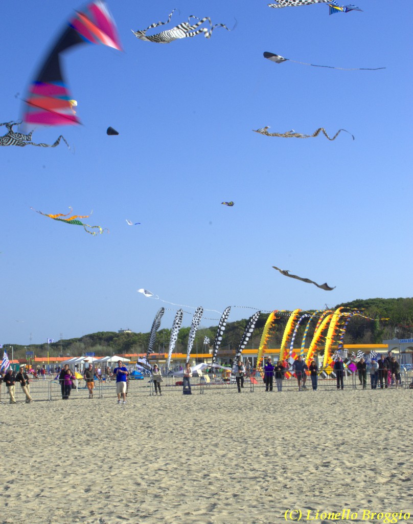 32 FESTIVAL CERVIA 2012 - 112_cr.jpg